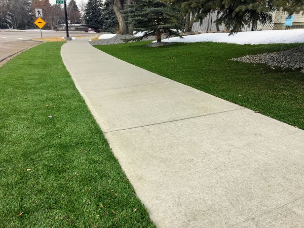 Sidewalk Repair in Mill Valley