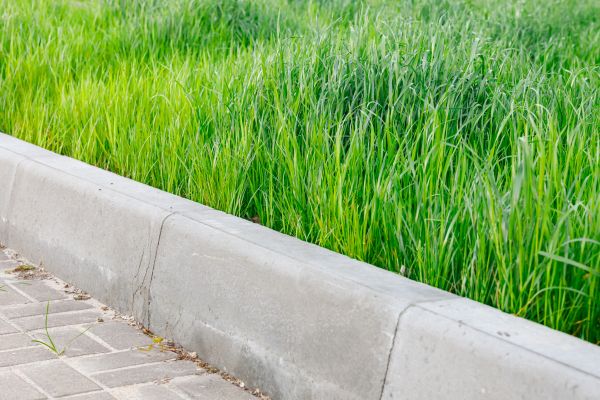 Concrete Curb Repair in Mill Valley