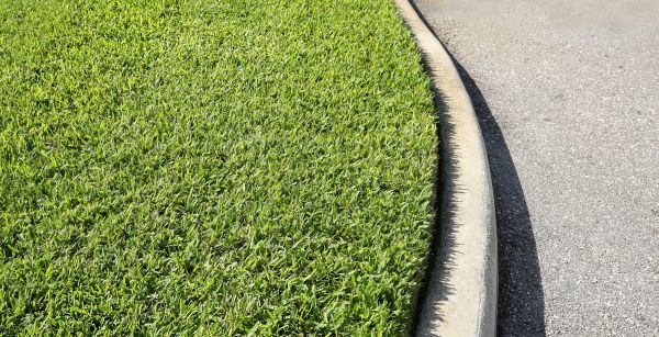 Driveway Curb Repair in Mill Valley