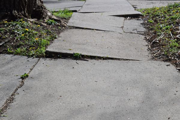 Sidewalk Hazard Repair in Mill Valley